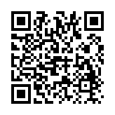 小小枪次元危机