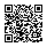 杀马特团长语音盒