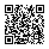 91熊猫桌面主题