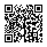 诗雨美化插件超自然版