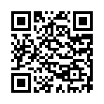 猫猫的奇妙小镇