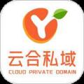 云合私域