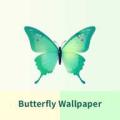 蝴蝶壁纸