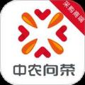 中向荣采购商